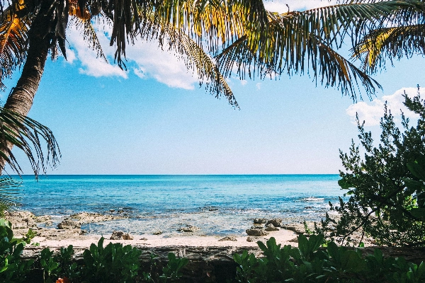 Beach view