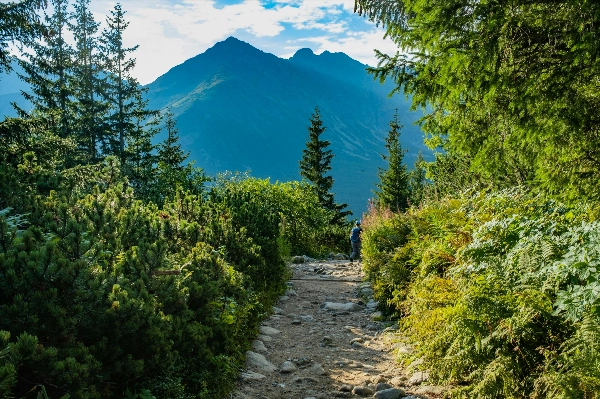 Mountain trail