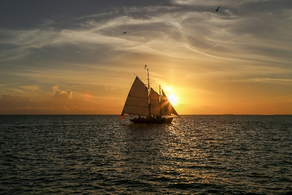 Sunset cruise